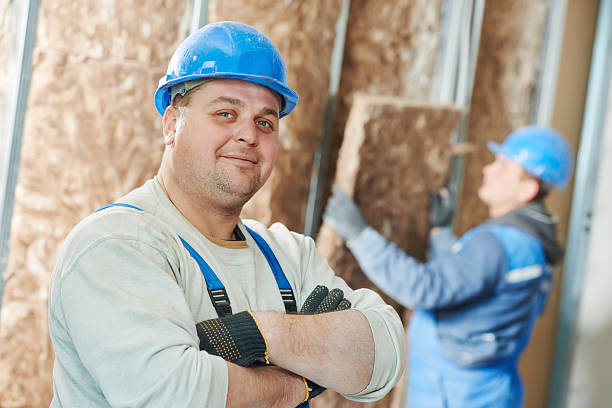 Best Insulation Contractors for Homes  in Castle Pines, CO